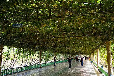 《破碎怪谈：切勿直视》主机版将于8月18日发售